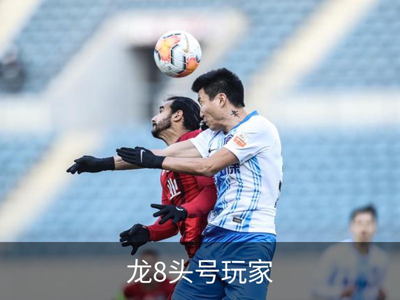 了解龙8头号玩家